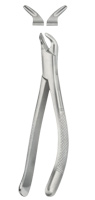 Tooth Forceps for Children, American Pattern